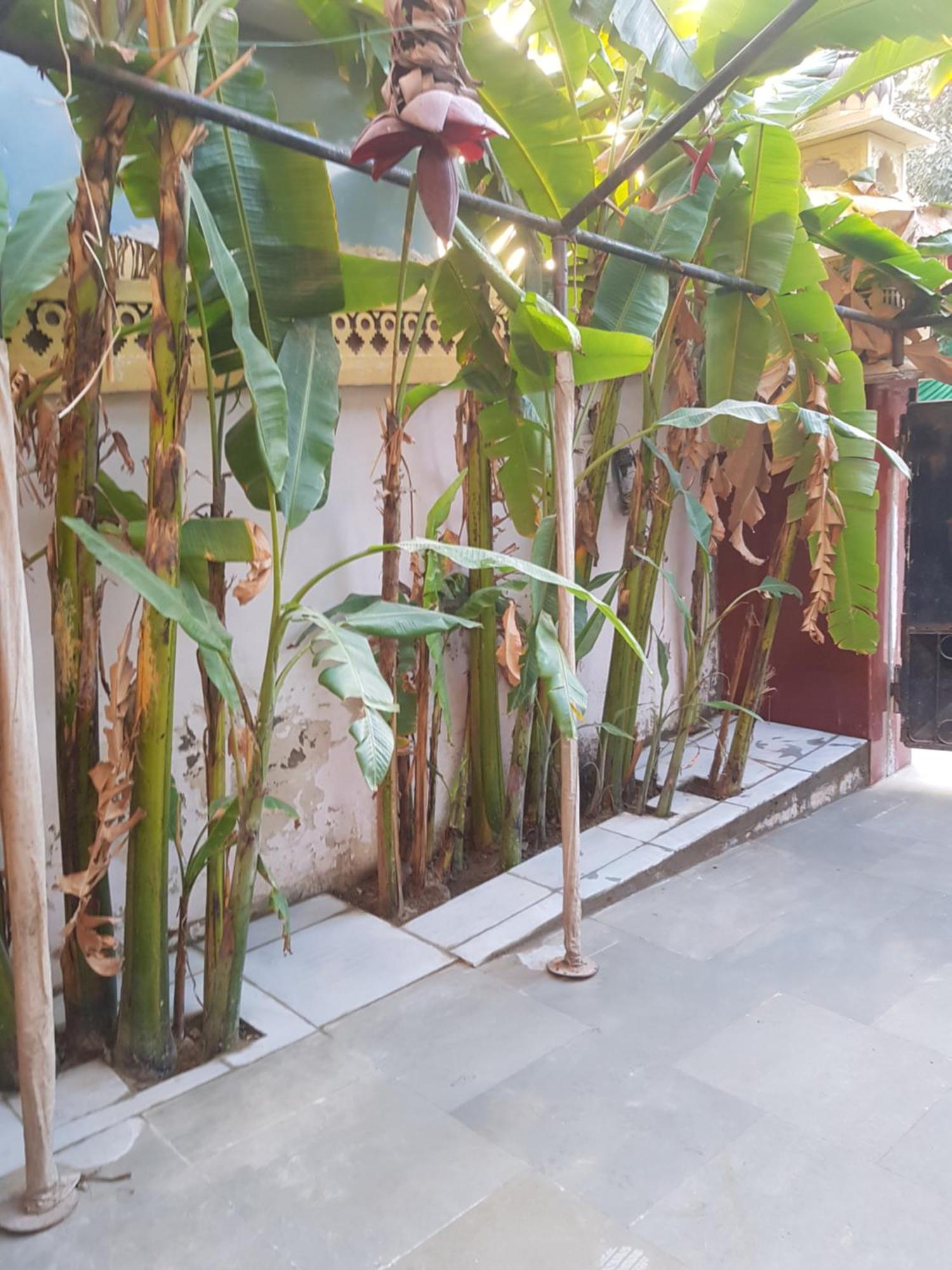 Appartement Sureli Haveli à Jaipur Chambre photo