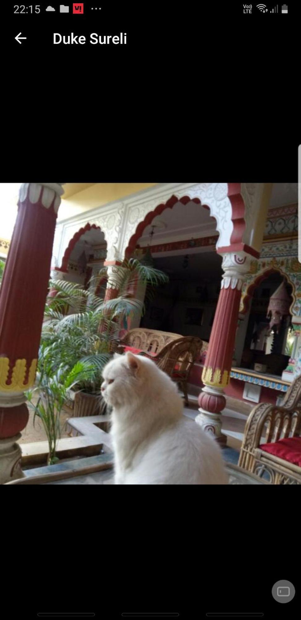 Appartement Sureli Haveli à Jaipur Chambre photo
