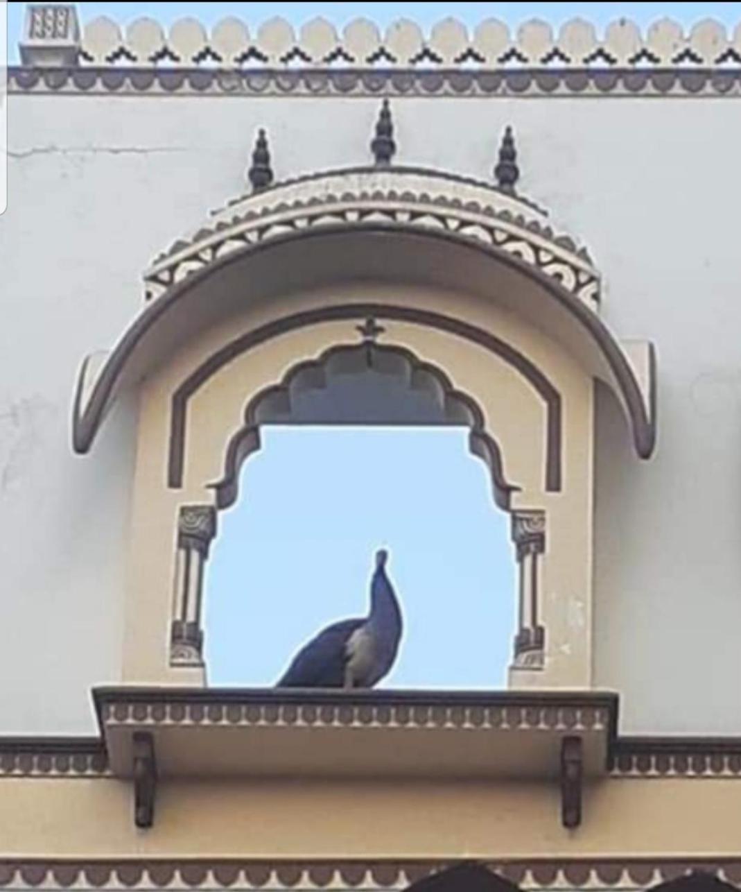 Appartement Sureli Haveli à Jaipur Extérieur photo